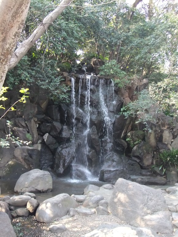 f0144970_15382466.jpg