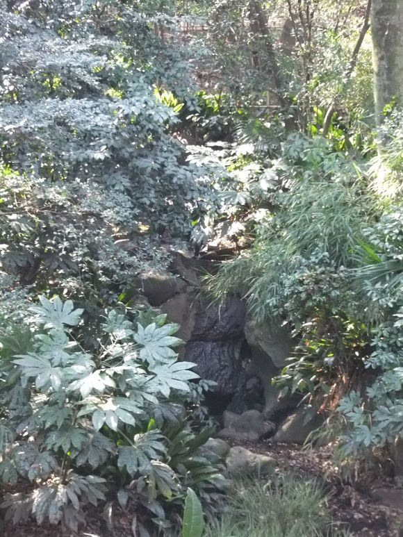 f0144970_1539363.jpg