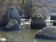 参考掲載　宮城県石巻市トヤケ森山麓南境：七ツ石_f0125073_6454158.jpg