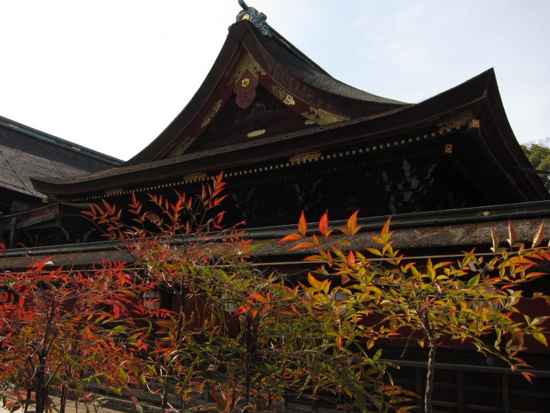 京都・北野天満宮の梅はまだまだ3分咲きーブロンプトンで京都満喫ポタ（前編）_e0138081_16421925.jpg