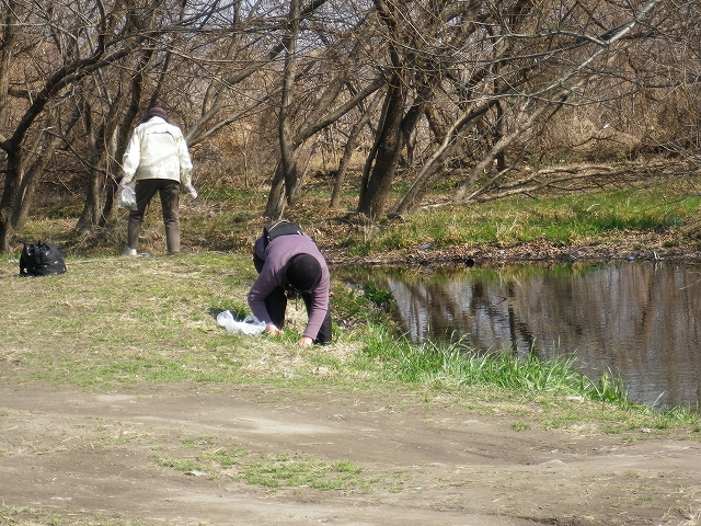 梅林の開花の確認_c0212083_22512876.jpg