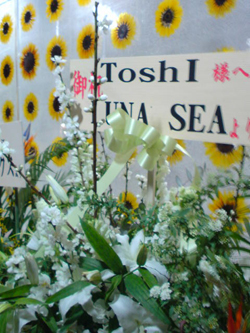 b0198285_61777.jpg