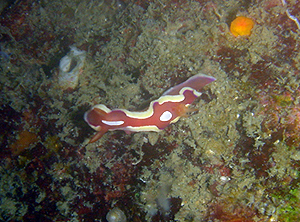 f0144385_00962.jpg