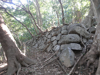 クスノキの南限地：立花山（３６７ｍ）_d0124388_1343563.jpg