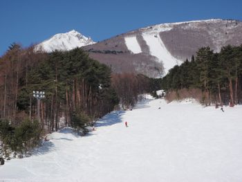 ショップも楽しい猪苗代ミネロスキー場_a0096989_18114545.jpg