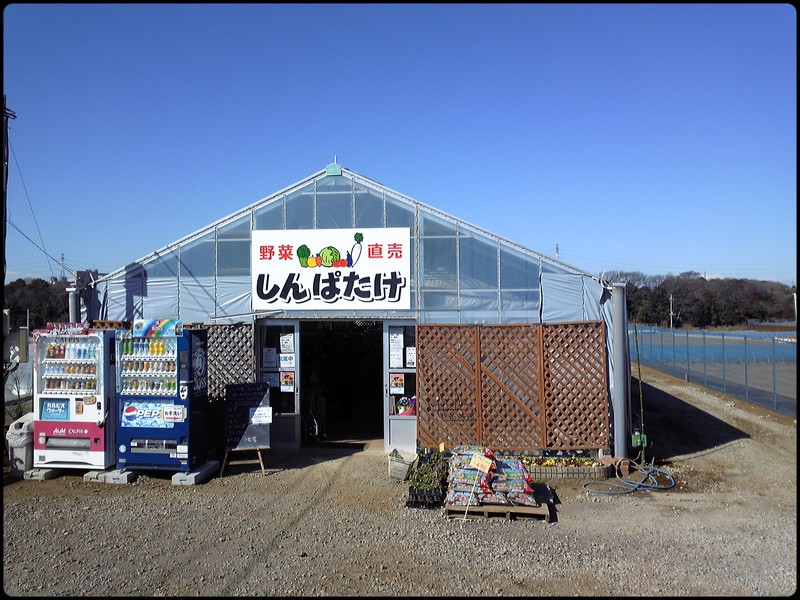 しんぱたけ 魚と野菜と私と和ノ香