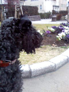 c0037701_074019.jpg