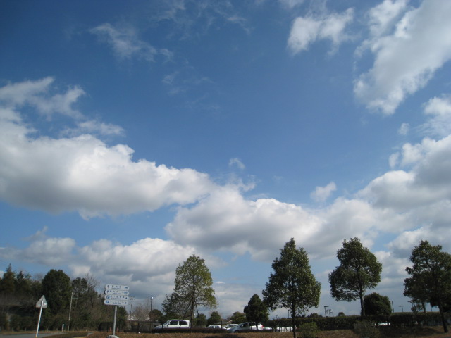 b0172502_19135095.jpg