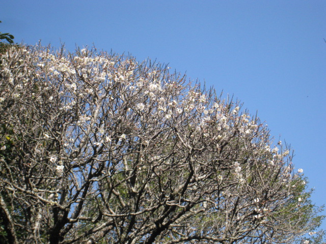 b0172502_19173426.jpg