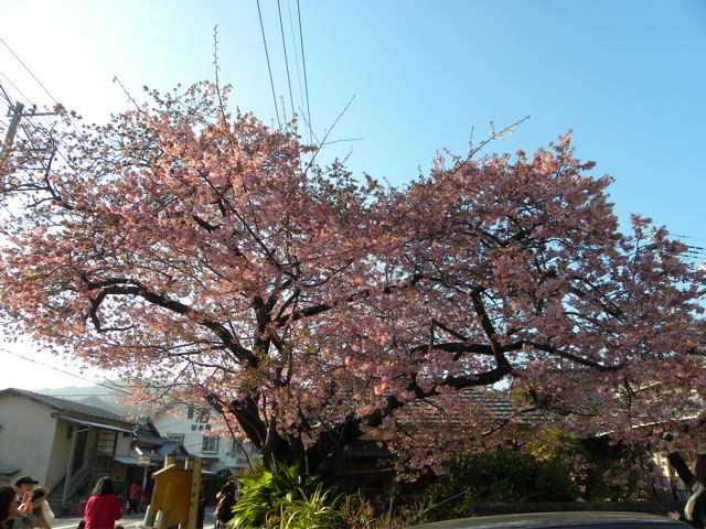 f0144003_20275034.jpg