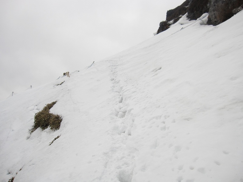 三嶺　大雪　大岩の所で撤退_b0124306_1740772.jpg