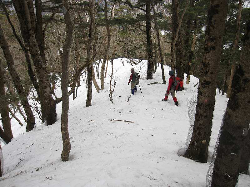 三嶺　大雪　大岩の所で撤退_b0124306_17442721.jpg