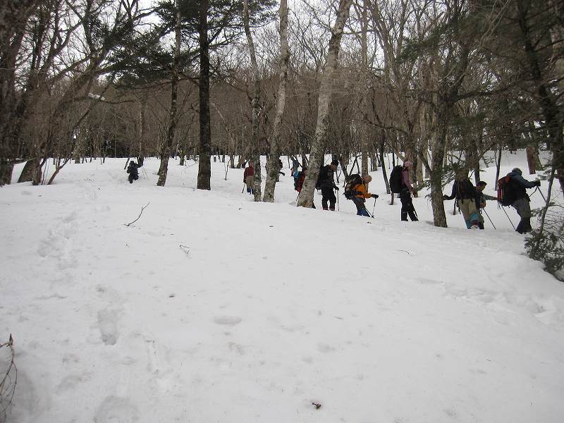 三嶺　大雪　大岩の所で撤退_b0124306_17475288.jpg