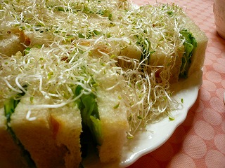 2月22日(火) 素敵に美味しくティタイム~早春編~②_d0138307_727159.jpg