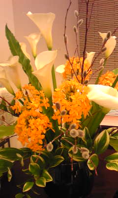 c0180209_2057233.jpg