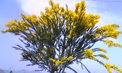 d0172010_2024981.jpg
