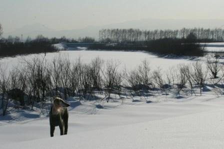 e0134711_2122490.jpg