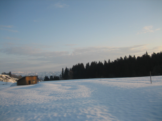 雪の畑へ_f0067514_19104298.jpg
