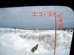 e0069615_19501534.jpg