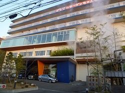 d0086228_13305598.jpg