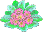 b0025633_19571331.gif