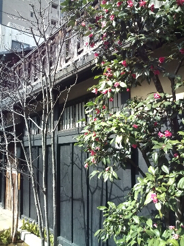 ポカポカな京都_c0113733_0465869.jpg