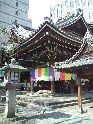 ポカポカな京都_c0113733_0481334.jpg
