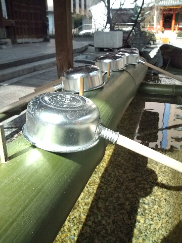 ポカポカな京都_c0113733_0482225.jpg