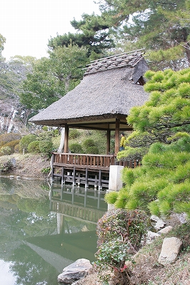 a0182241_92487.jpg