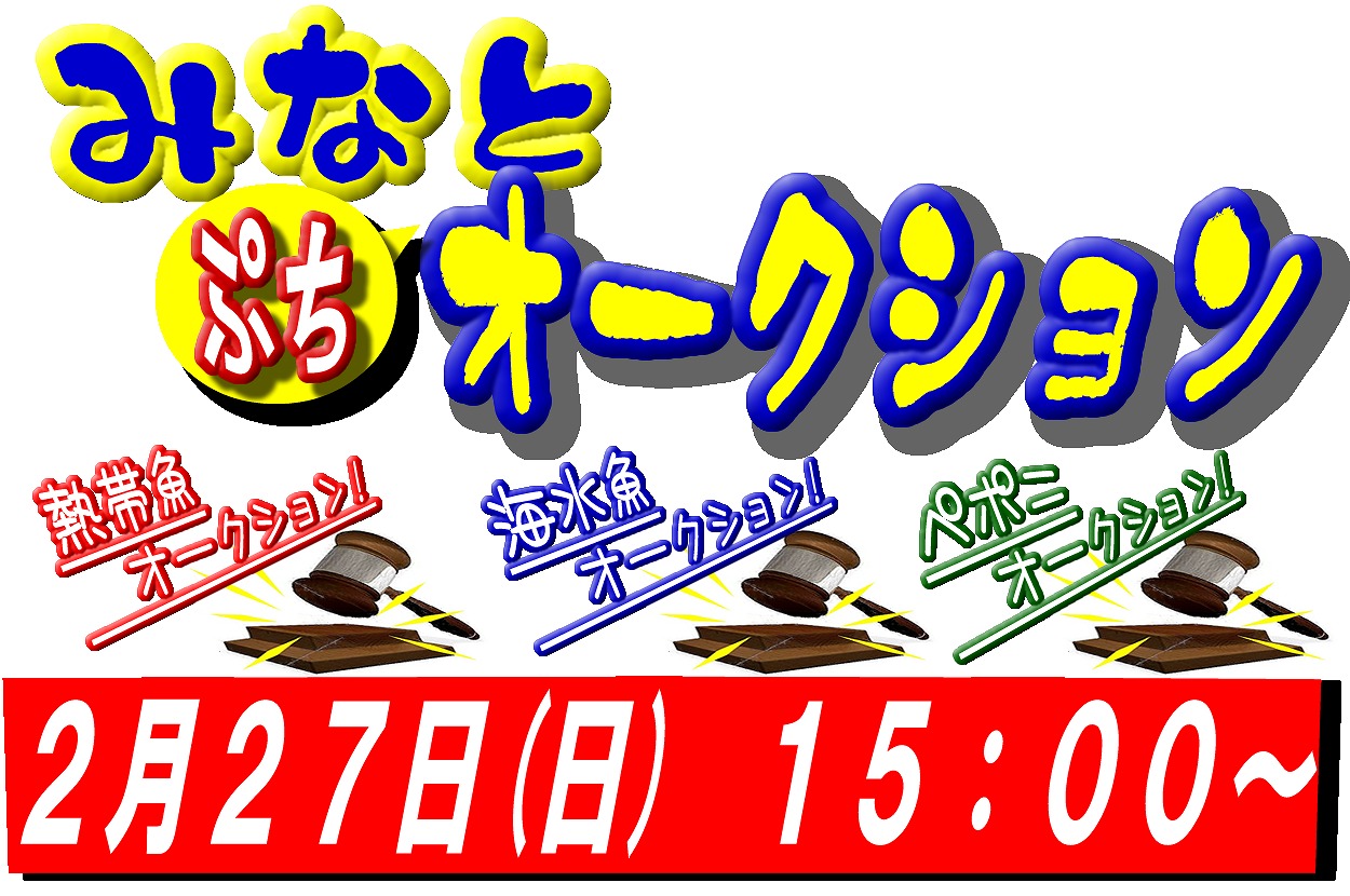 もうきんフライトショー＆ぷちオークション＆タイムサービス告知。_e0191842_11223442.jpg