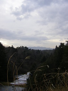a0023043_10543025.jpg