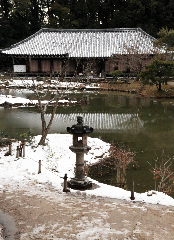 浄瑠璃寺　残雪　アオサギ_c0108146_2241130.jpg