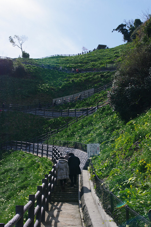 淡路島　灘黒岩水仙郷　～後編～_f0152550_22103464.jpg