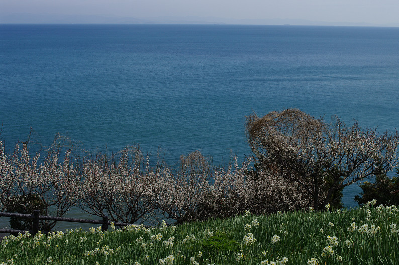 f0152550_22111738.jpg