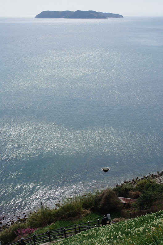 淡路島　灘黒岩水仙郷　～後編～_f0152550_22113168.jpg