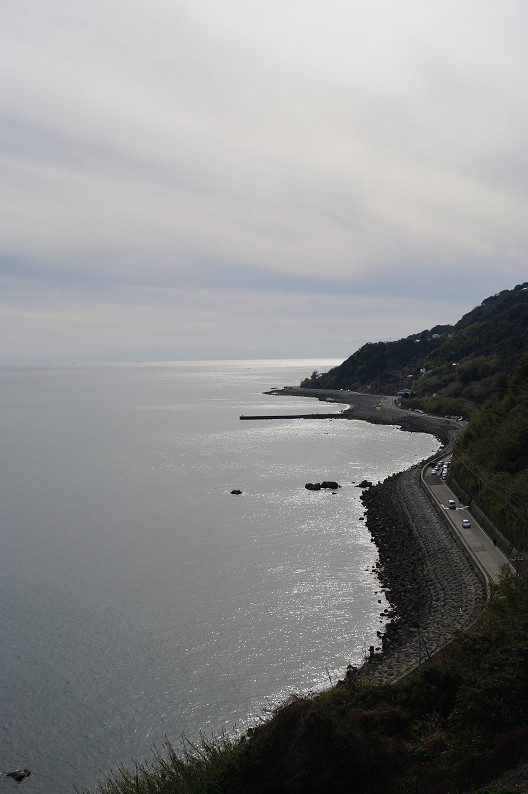 淡路島　灘黒岩水仙郷　～後編～_f0152550_22134568.jpg