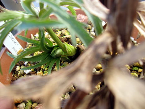 c0147952_22472579.jpg