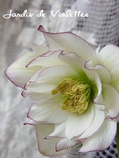 e0118257_10425770.jpg
