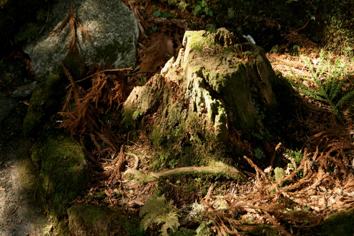 c0206559_22362897.jpg