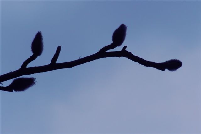 a0123465_23143883.jpg