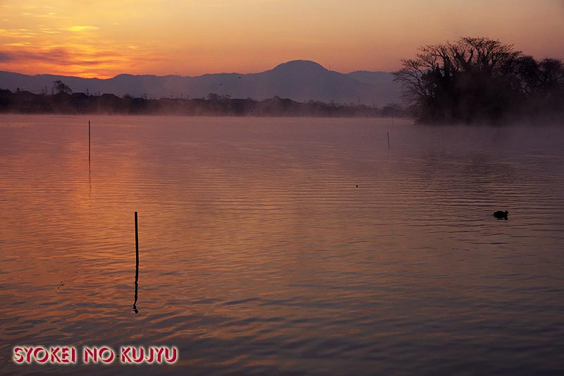 いったい何を撮ったら良いんだろうか？ in 江津湖_f0173067_12402573.jpg