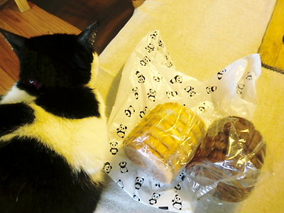 f0238584_17244043.jpg