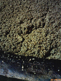 c0115092_13202398.jpg