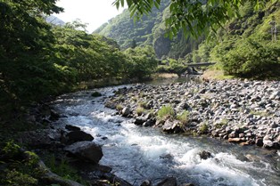 b0125397_12241662.jpg