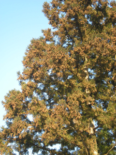 f0164499_22584511.jpg