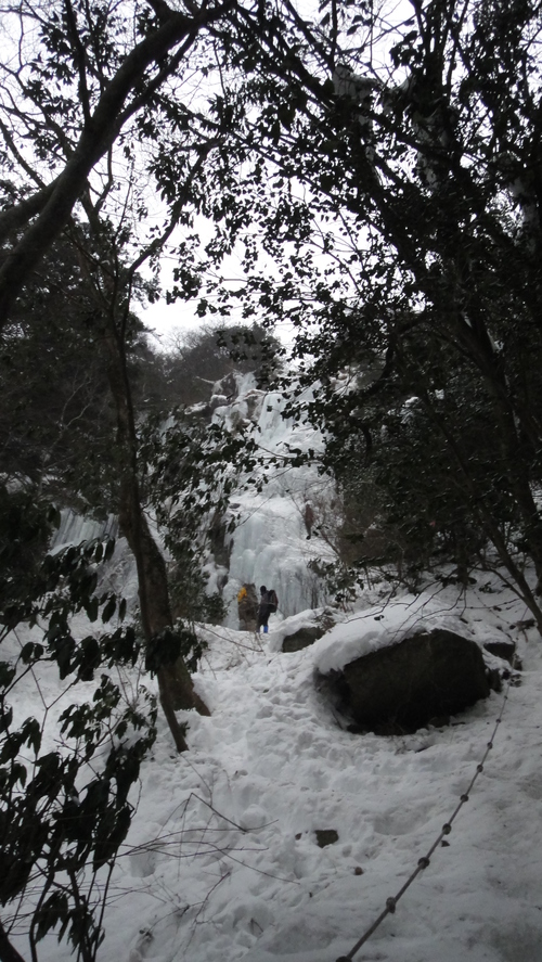 f0036700_6335490.jpg