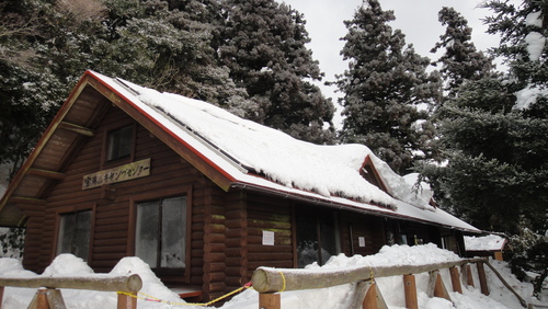 f0036700_6365088.jpg