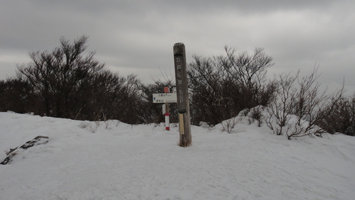 f0036700_6383341.jpg