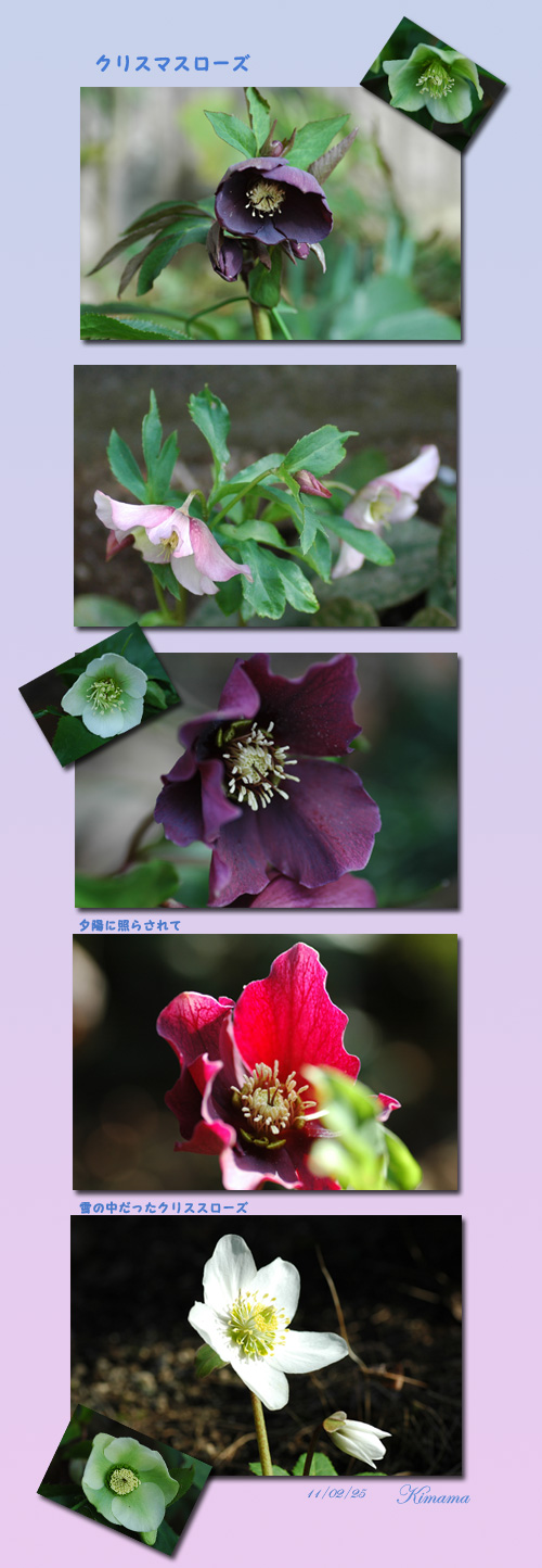 春一番_c0051105_23195291.jpg