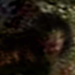 e0103408_20121667.jpg